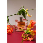Hindsight Bundle of 2 - Beauquet Extrait & Muskmallow EDP 50ml